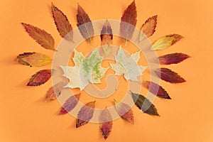 Colorful autumn leaves layed out in a heart shape on an orange paper background.