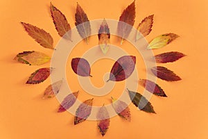 Colorful autumn leaves layed out in a heart shape on an orange paper background.