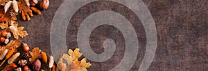 Colorful autumn leaves, nuts and grass corner border over a rustic dark banner background