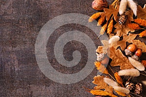 Colorful autumn leaves, nuts and grass side border over a rustic dark background