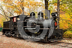 Classic geared steam locomotive used for hauling logs