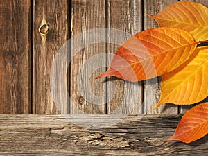 Colorful Autumn Leaves on Old Wood Background with Empty Wooden Table