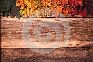 Colorful autumn leaves over a textured vintage rustic wooden background with copy space