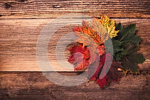 Colorful autumn leaves over a textured vintage rustic wooden background with copy space