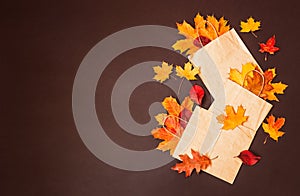 Colorful autumn leaves in paper bags on dark background. Sale and shopping concept