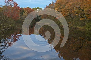 Colorful autumn leaves reflected in a Maine stream