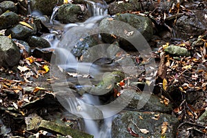 Colorful Autumn Leaves on rocks with Slowed water