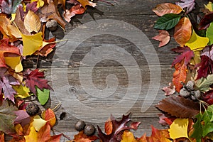 Colorful Autumn Leaves on a Rustic Wood Background