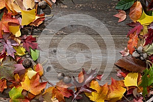 Colorful Autumn Leaves on a Rustic Wood Background