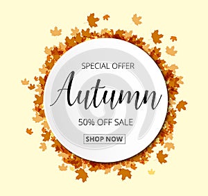 Colorful autumn leaves and sale text. Fall season background.