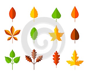 Colorful autumn leaves set. Cartoon leaf in flat style. Autumn herbarium. Collection of hand drawn fallen leaves. Set of