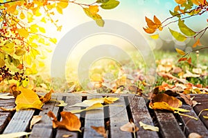 Colorful autumn leaves sunset background