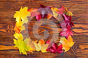 Colorful autumn leaves on a wood background