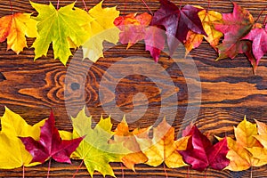 Colorful autumn leaves on a wood background