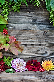 Colorful autumn leaves wood background