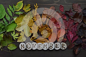 Colorful autumn leaves with word NOVEMBER photo