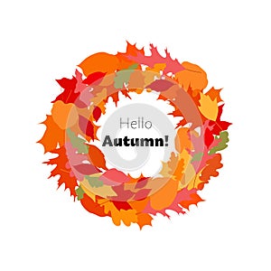 Colorful autumn leaves wreath, web template for sale campaign, greeting card. Isolated on white background. Stock vector