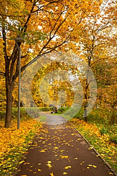 Colorful Autumn With Listopad In Park