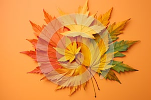 colorful autumn maple leaf background. ai generative