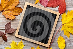 Colorful autumn maple leaves with blank empty letterboard