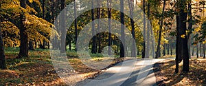 Colorful autumn morning in a city park. Panoramic view with trees, yellow-orange foliage, park asphalt path and side sunlight and