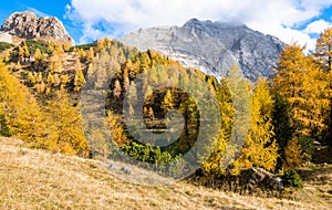 Colorful autumn morning in the mountains. Colourful autumn morning in mountain lake. Colorful autumn landscape.