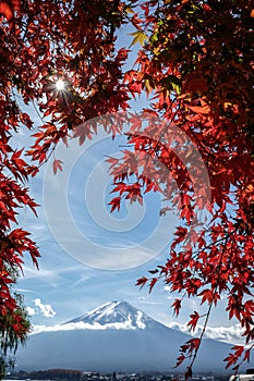 Colorful Autumn in Mount Fuji