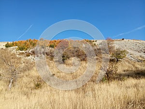 colorful autumn in a mountainous area