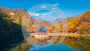 Colorful autumn in Naejangsan National Park, South Korea.