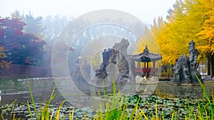 Colorful autumn at Nami island, South Korea.