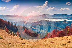 Colorful autumn panorama in the mountain village. Foggy morning