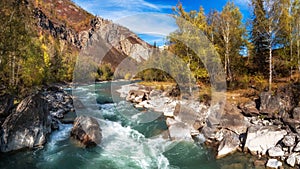 Colorful autumn panoramic landscape with golden leaves on trees along turquoise stormy mountain river in sunshine. Bright scenery