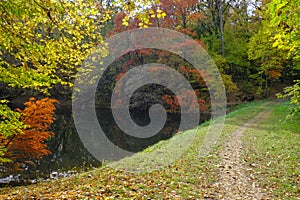 Colorful autumn in the park across the lake. Parco natural regionale dei Boschi di Carrega, Emilia-Romagna, Italy photo