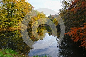 Colorful autumn in the park across the lake. Parco natural regionale dei Boschi di Carrega, Emilia-Romagna, Italy photo