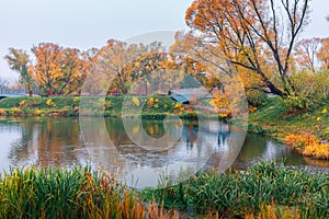 Colorful autumn park. Autumn trees with yellow leaves in the autumn park