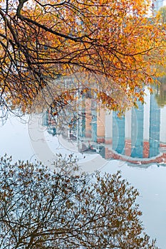 Colorful autumn park. Autumn trees with yellow leaves in the autumn park