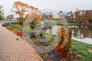 Colorful autumn park. Autumn trees with yellow leaves in the autumn park