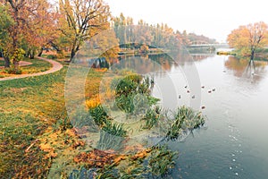 Colorful autumn park. Autumn trees with yellow leaves in the autumn park