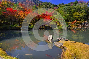 Colorful autumn at the pond near Arashiyama