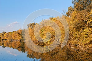 Colorful autumn river