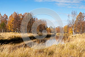 Colorful Autumn River With in Wild Woods