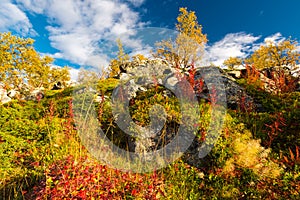 Colorful Autumn in Scandinavia