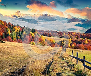 Colorful autumn scene in the mountains.
