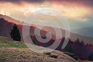 Colorful autumn scene on the Svydovets mountain range in Carpath