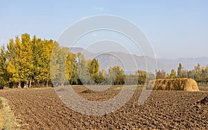 Colorful autumn scene of trees on the side of agriculture fields with mountains in background