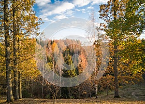 Colorful autumn scenery with trees down the walley photo