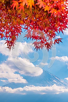 Colorful autumn season & Mountain Fuji in morning fog and red leaves at lake Kawaguchiko, Japan