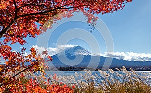 Colorful Autumn Season and Mountain Fuji with Snow capped peak and red leaves at lake Kawaguchiko is one of the best places in