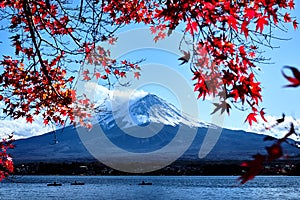 Colorful Autumn Season and Mountain Fuji with Snow capped peak and red leaves at lake Kawaguchiko is one of the best places in