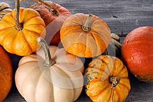 Colorful autumn seasonal pumpkin pile on wooden grey background with copy space for text. Halloween or thanksgiving